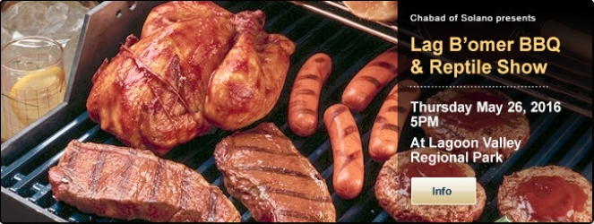 lag-baomer-family_bbq (2)2016.jpg